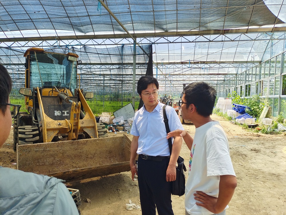 在肥东县杨店乡调研育秧中心建设情况及了解新农主体资金需求.jpg